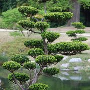 Taille-arbre-en-nuage
